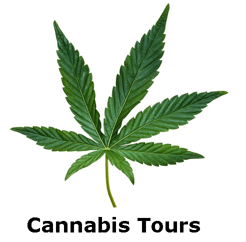 Cannabis Tours provided by Fire Island Limo of Long Island NY & NYC