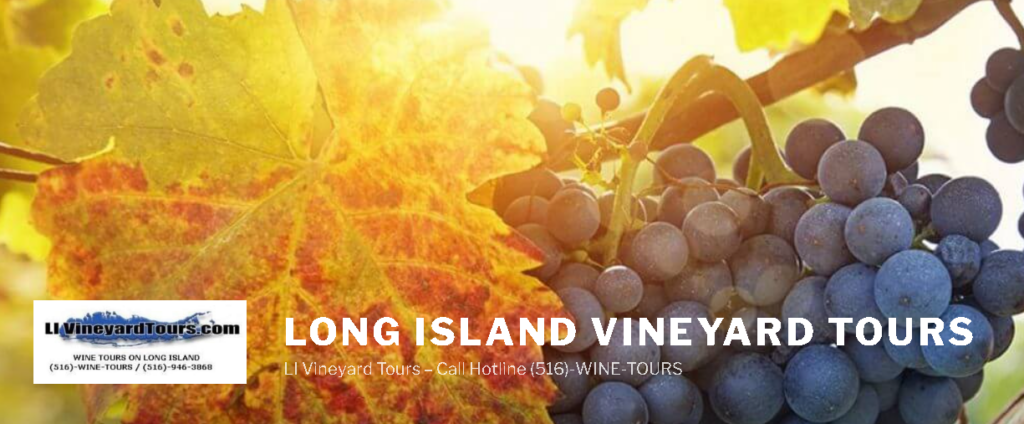 LI Vineyard Tours - Fire Island Limo Affiliates