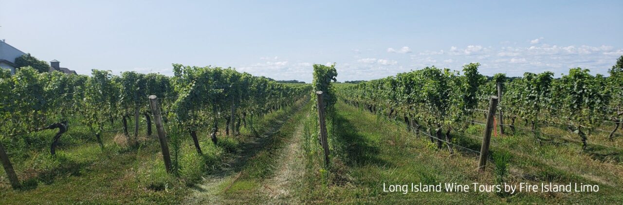 Long Island Wine Tours by Fire Island Limo of Long Island NY & NYC